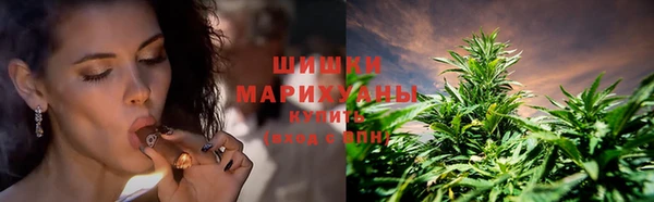 твердый Пестово