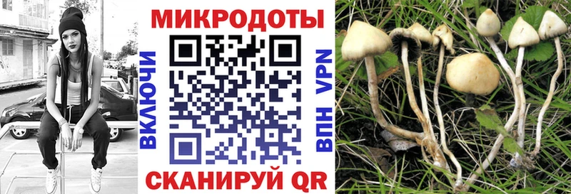 Галлюциногенные грибы мухоморы  Петровск 